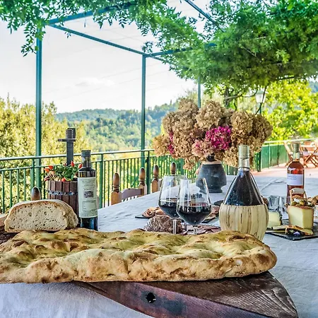 Leonardo Da Fornia By Interhome * Carmignano